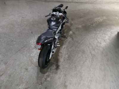Triumph Daytona Moto2 765 LTD 2020