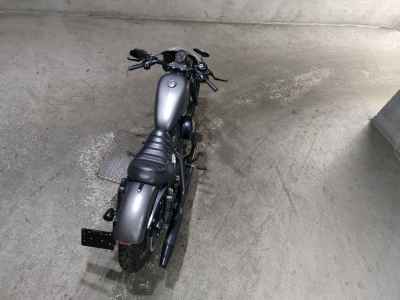 Harley-Davidson Sportster Iron XL883N 2016