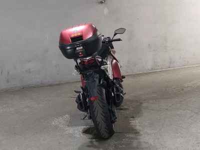 Kawasaki Ninja 1000 2011