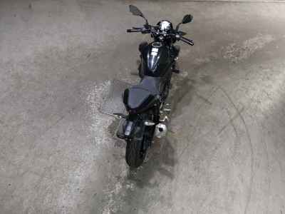 Kawasaki Ninja 250 2023