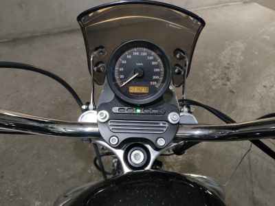 Harley-Davidson Sportster XL883L 2010