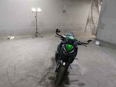 Kawasaki Z1000 2019
