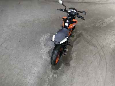 KTM 390 Duke 2019