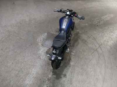 Yamaha XSR700 2019