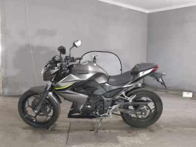 Kawasaki Z250 2017