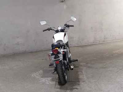 Kawasaki Estrella RS