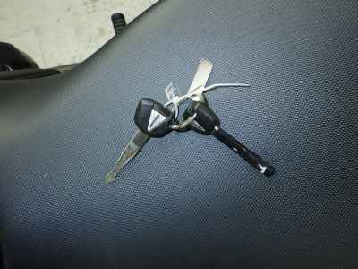 Kawasaki Ninja 1000SX 2021