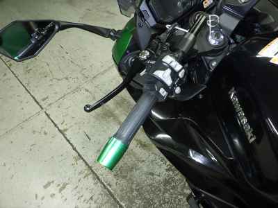 Kawasaki Ninja 1000SX 2021