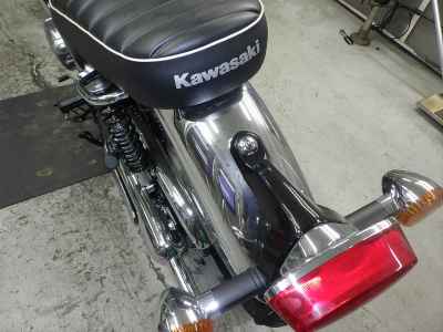 Kawasaki W800 2024