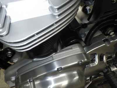 Kawasaki W800 2024