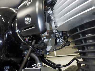 Kawasaki W800 2024