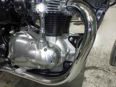 Kawasaki W800 2024