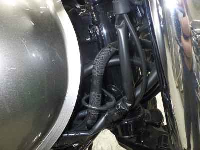 Kawasaki W800 2024