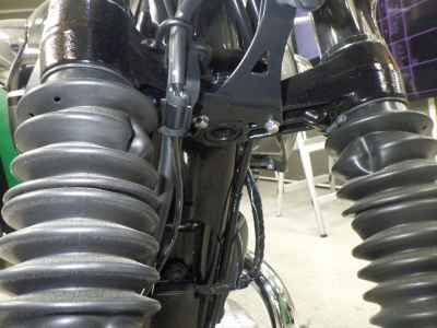 Kawasaki W800 2024