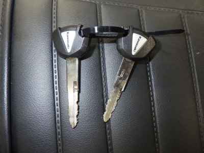 Kawasaki Z900RS 2019