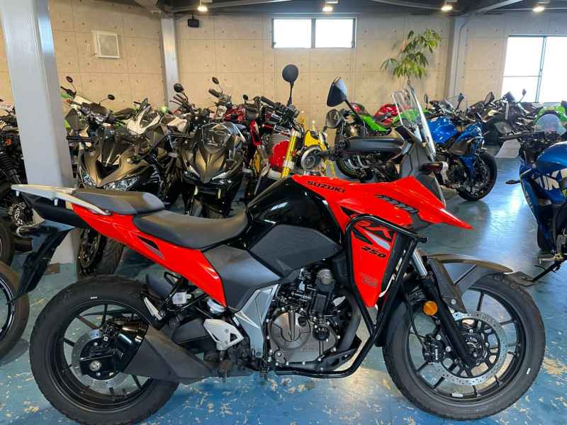 Suzuki V-Strom 250SX