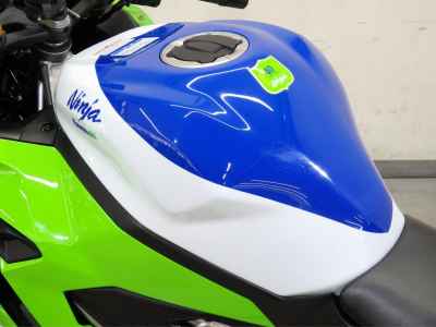 Kawasaki Ninja ZX-4RR 2024