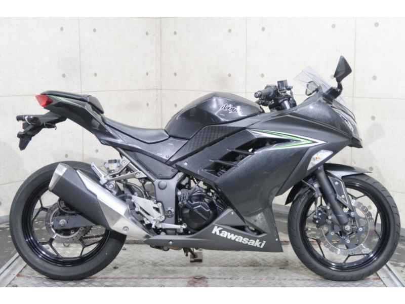 Kawasaki Ninja 250 2016