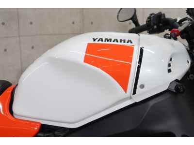 Yamaha XSR900 2024