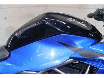 Kawasaki Z250SL 2016