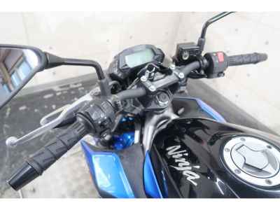 Kawasaki Z250SL 2016