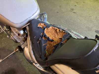 Yamaha XVS400 Drag Star Classic 2008