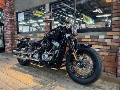 Harley-Davidson Slim FLSL1750 2021