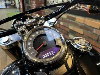 Harley-Davidson Slim FLSL1750 2021