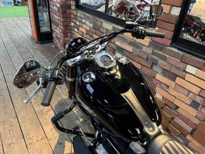 Harley-Davidson Slim FLSL1750 2021