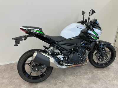 Kawasaki Z250 2019
