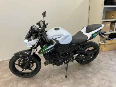 Kawasaki Z250 2019