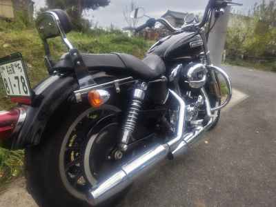 Harley-Davidson Sportster XL1200S 2008