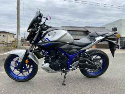 Yamaha MT-25