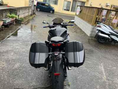 Kawasaki Ninja 1000 2019