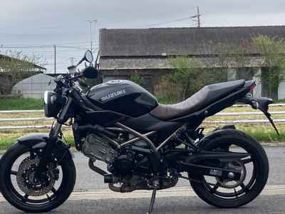 Suzuki SV650S 2024