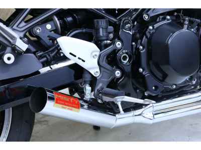 Kawasaki Z900RS 2020