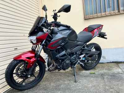 Kawasaki Z250 2021