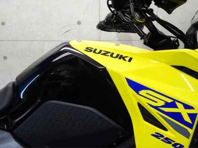 Suzuki V-Strom 250SX