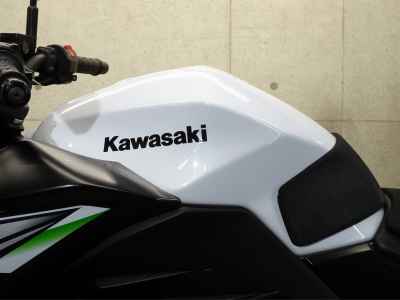 Kawasaki Z250 2014
