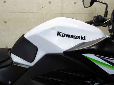 Kawasaki Z250 2014