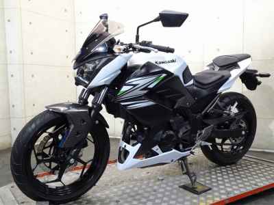 Kawasaki Z250 2014