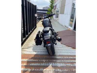 Honda Rebel CMX1100 2024