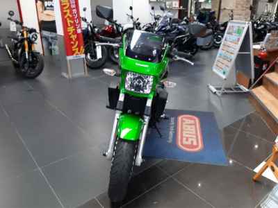 Kawasaki ZRX1200 Daeg 2013
