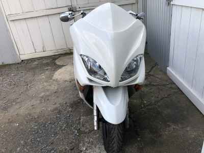 Honda Forza Z 2005