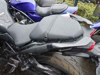 Kawasaki Ninja H2 SX 2018