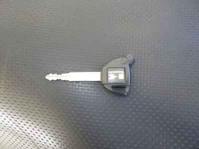 Kawasaki Epsilon 250 2006