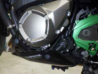 Kawasaki Z800 2021