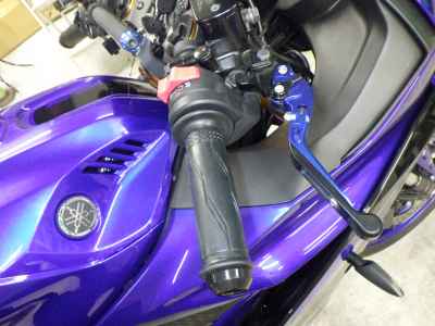 Yamaha YZF-R3 2019