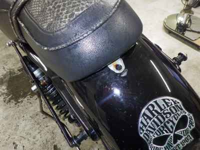 Harley-Davidson Sportster Forty-Eight XL1200X 2017