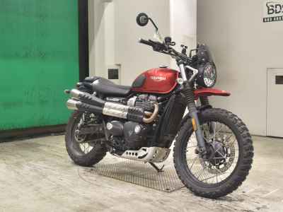 Triumph Street Scrambler 2019